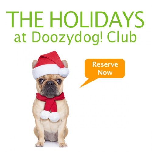 Reserve Now For The Holidays